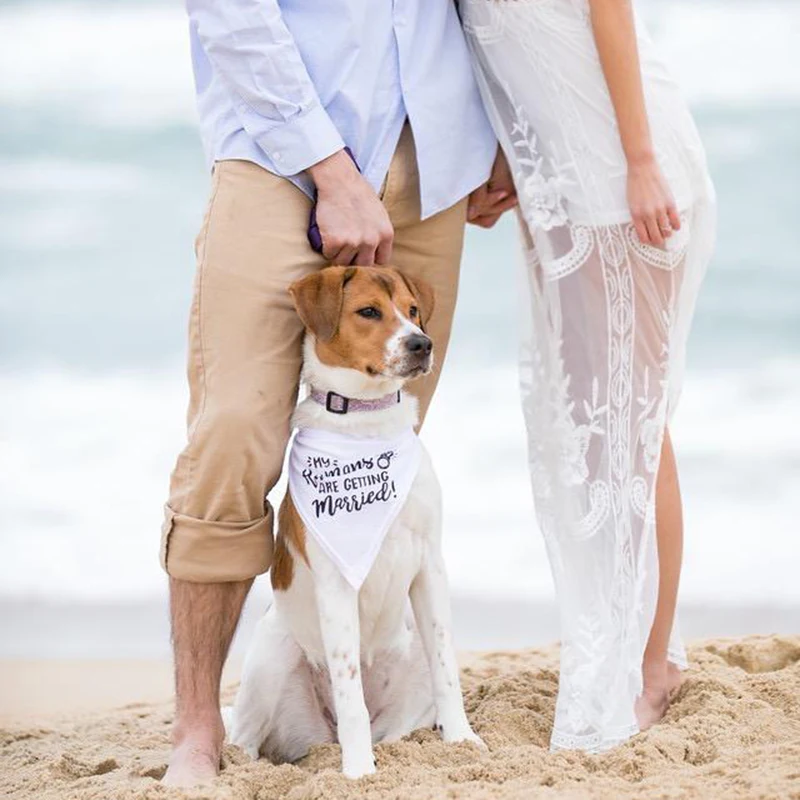 Dog Bandana Scarf - My Humans are Getting Married Dog