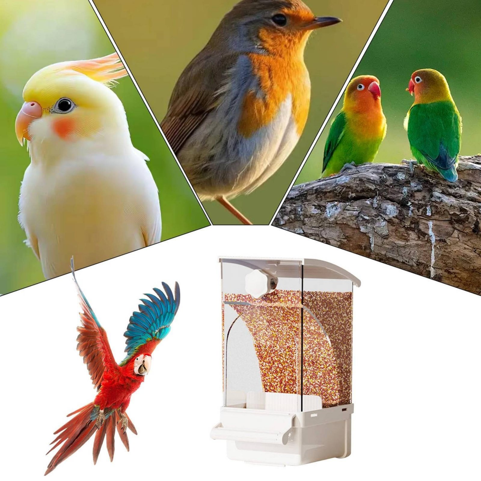 Pet Supplies Us - Automatic Avian Feeder Husk Separating No-Mess