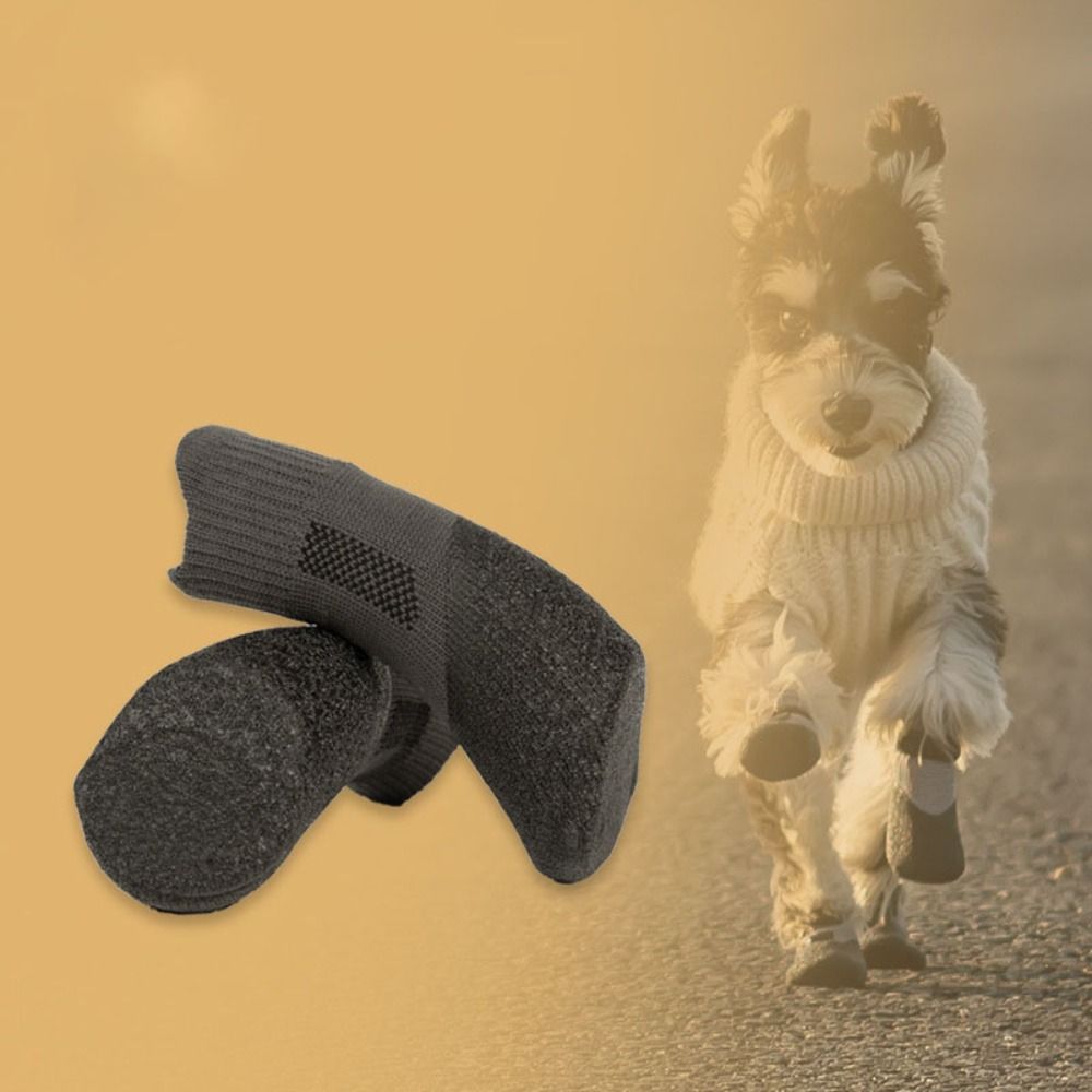 4pcs Pet Supplies Waterproof P - Pet Supplies Nz recension och pris