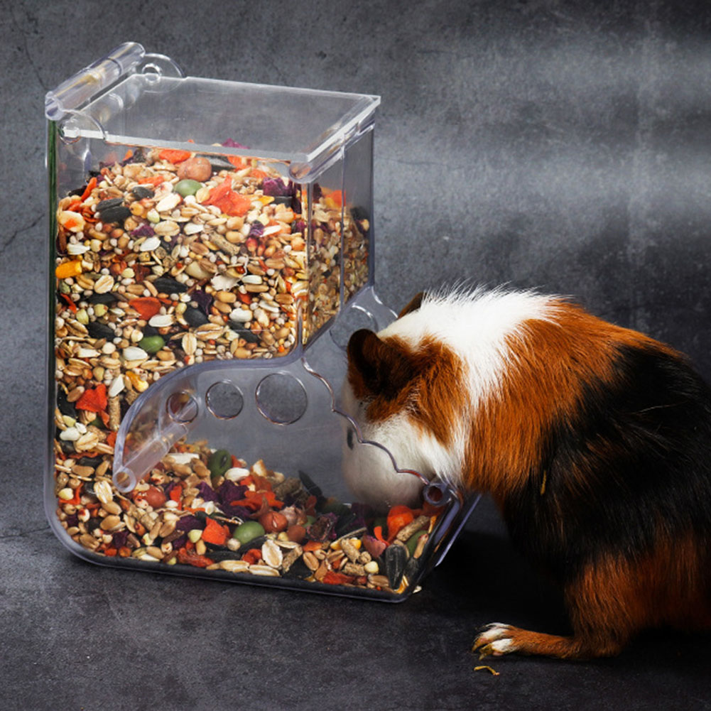  2-1PCS Cute Hamster Samll An - Automatic Pet Feeder recension och pris