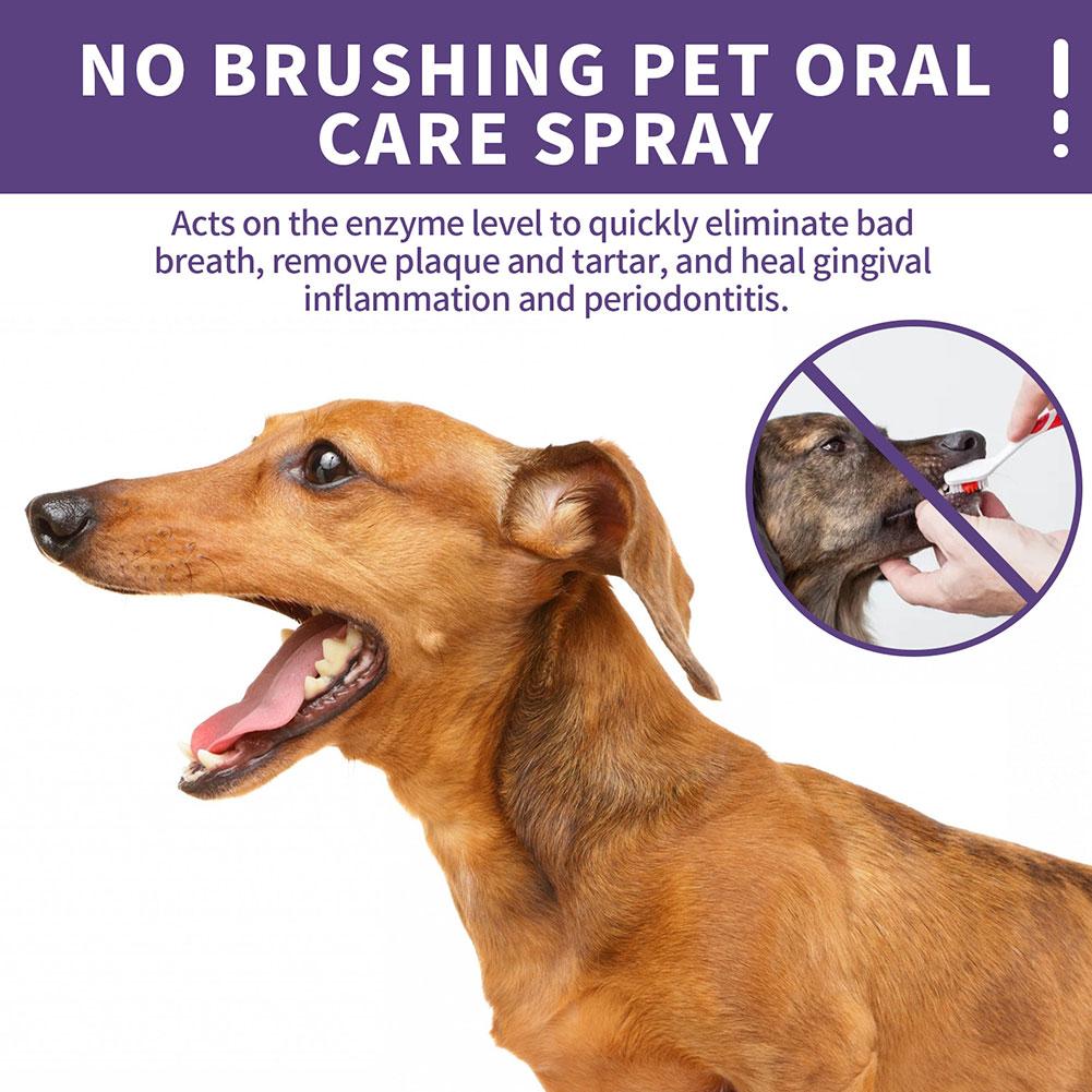 Pet Oral Cleaning Spray Dogs C - Pet Supplies Nz recension och pris