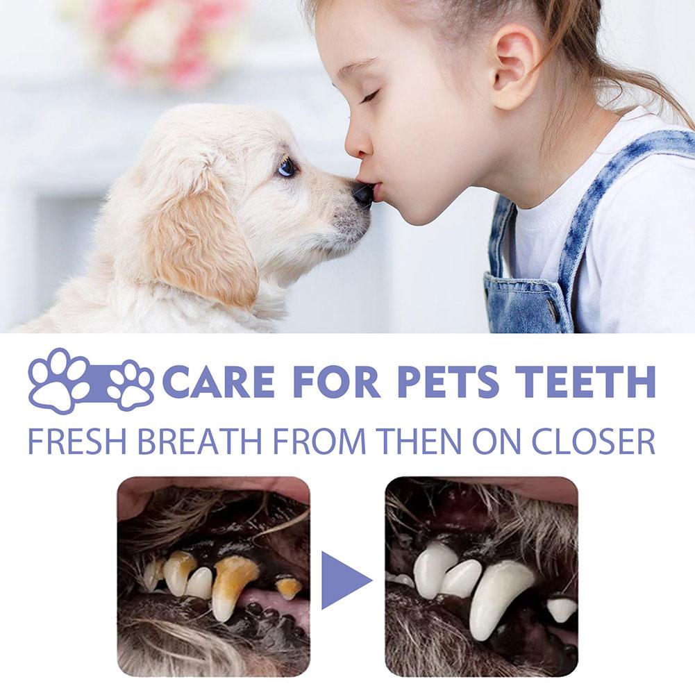 Pet Oral Cleaning Spray Dogs C - Pet Supplies Nz recension och pris