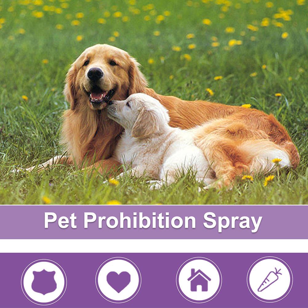 Pet Calming Spray Pet Supplies - Pet Supplies Nz recension och pris