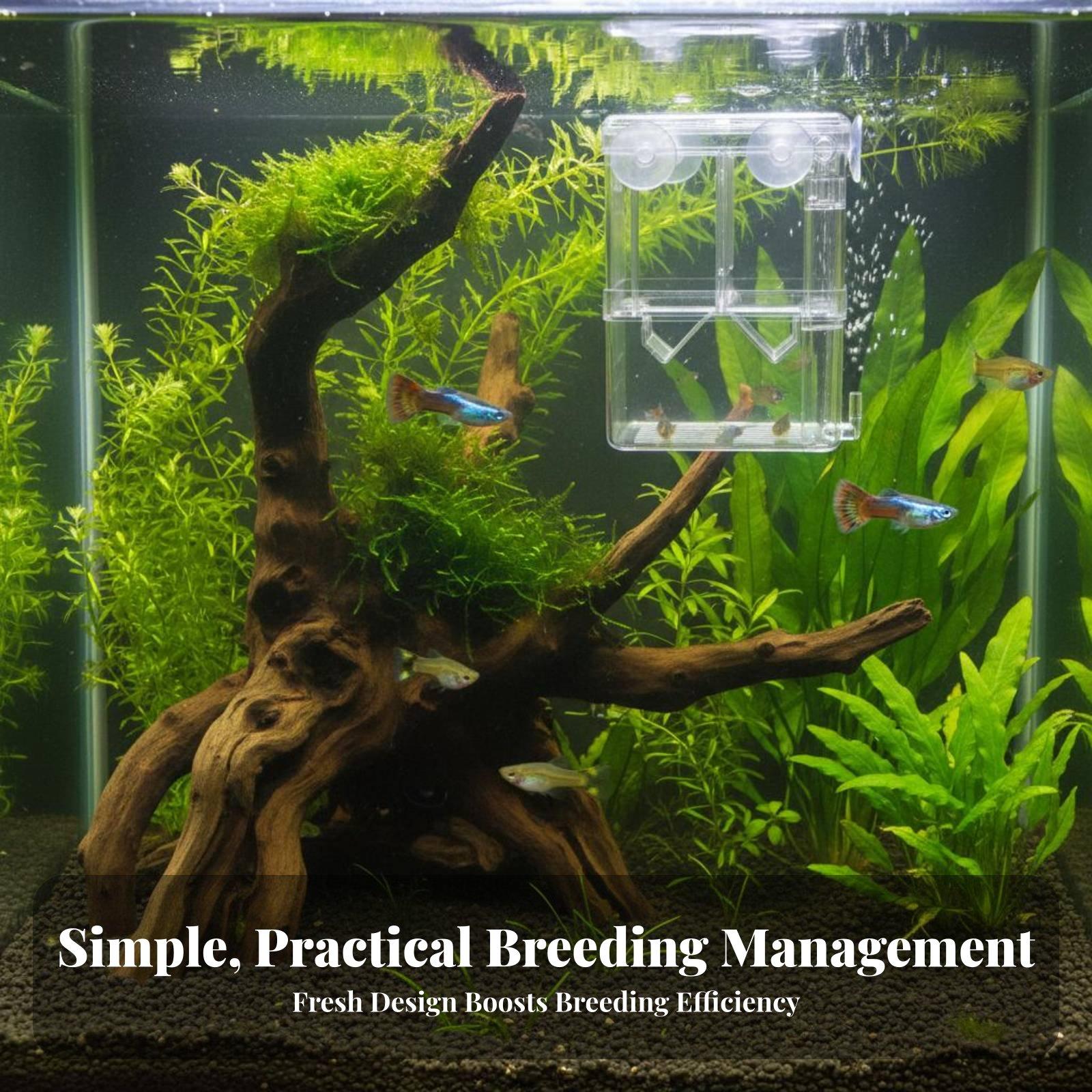 Double Layer Aquarium Breeding - Aquarium Fish Tank recension och pris