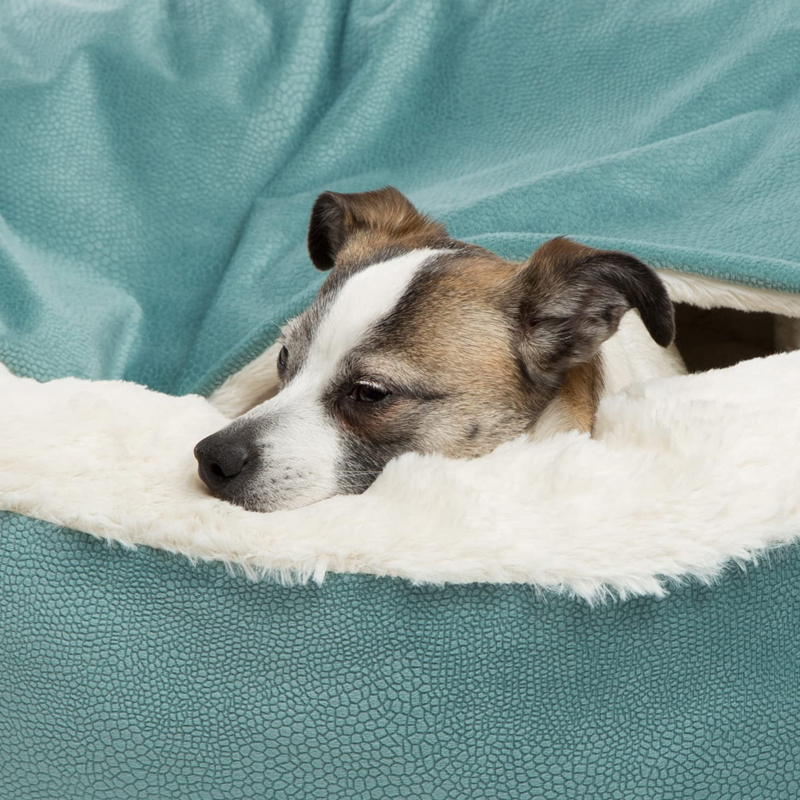 Benepaw Orthopedic Dog Bed Wit - Calming Dog Bed recension och pris
