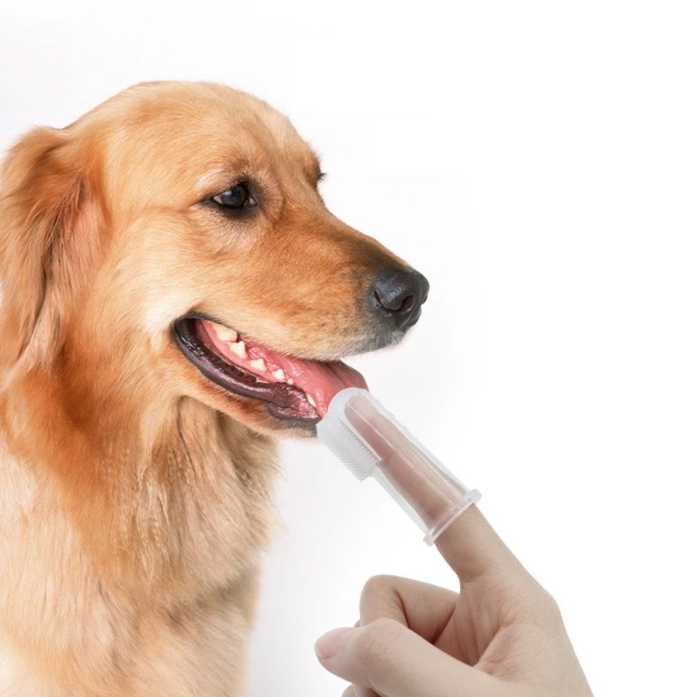 Super Soft Pet Finger Toothbru - Pet Supplies Us recension och pris