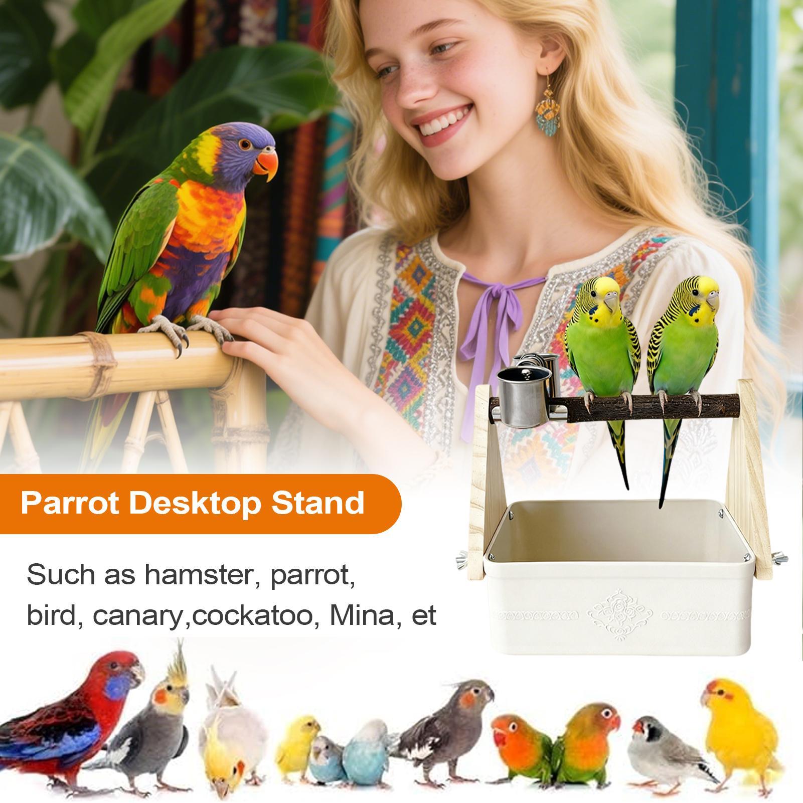 Bird Tabletop Perch Lovebirds  - Pet Supplies Zoo recension och pris