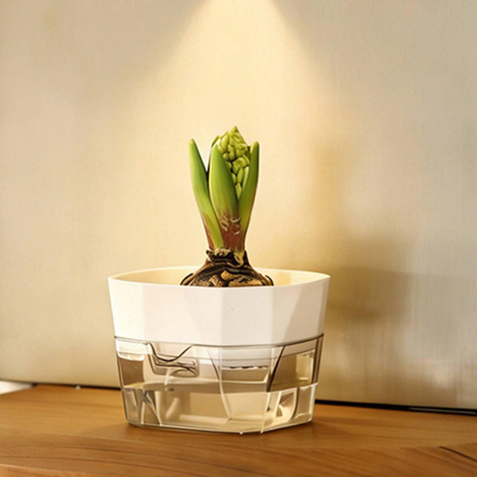 Hydroponic Vase Two Layer Self - Pet Supplies Us recension och pris