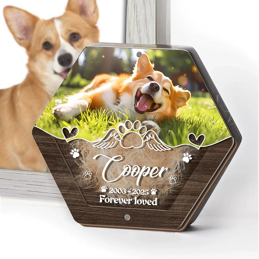 Personalized Name Wooden Carvi - Pet Supplies Nz recension och pris
