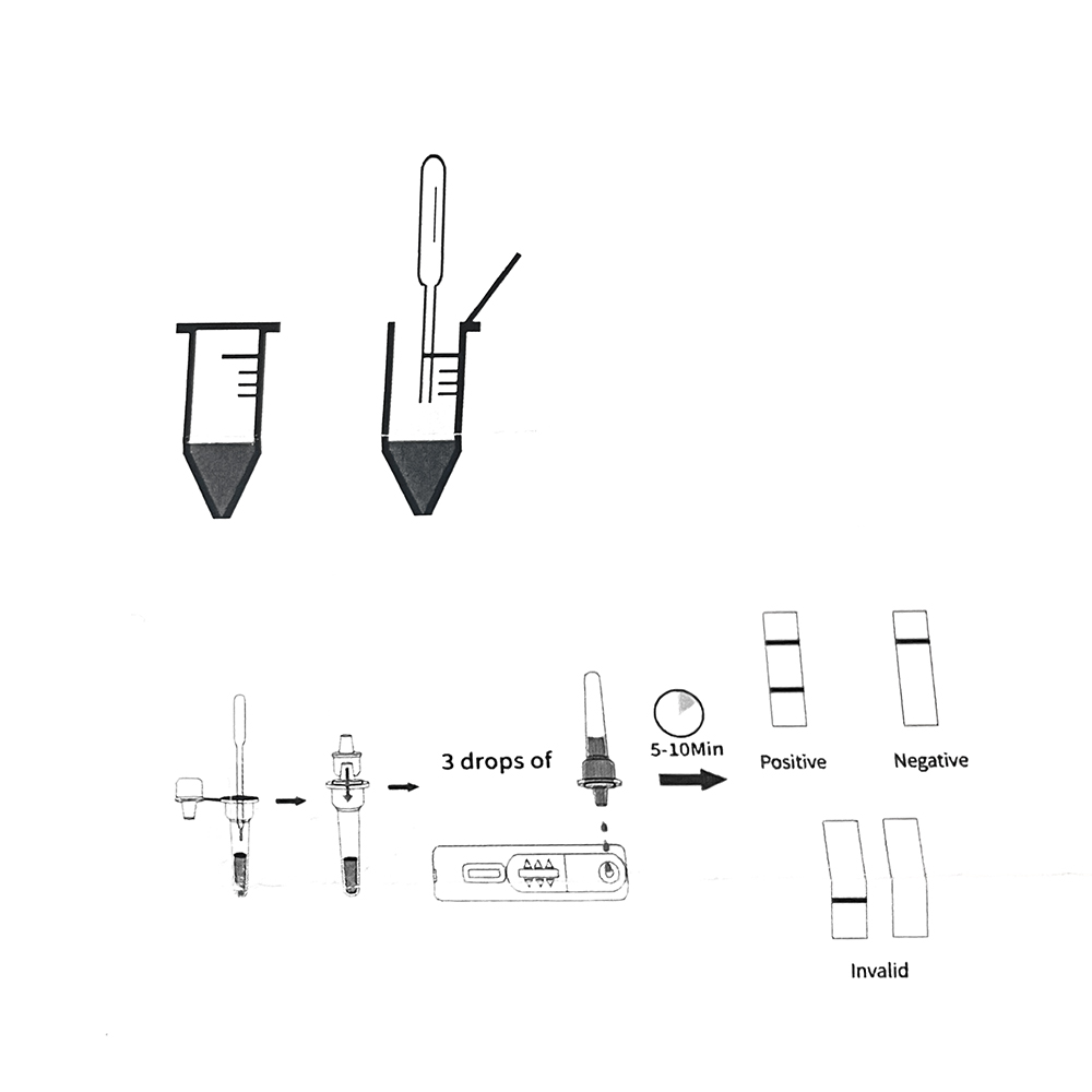 1set/5set Professional Pet Dog - Pet Supplies Nz recension och pris