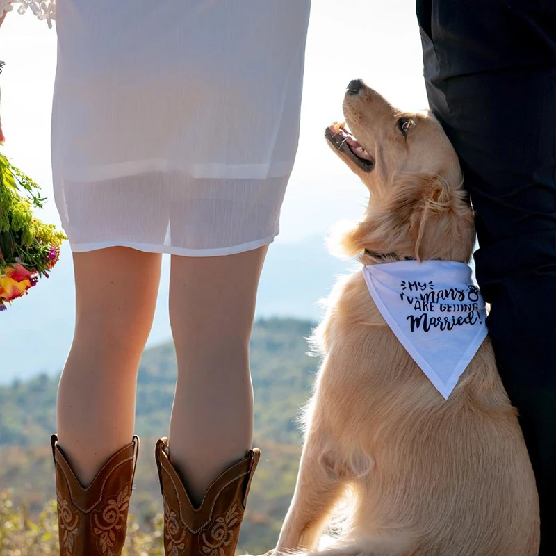 My Humans are Getting Married  - Dog Bandana Scarf recension och pris