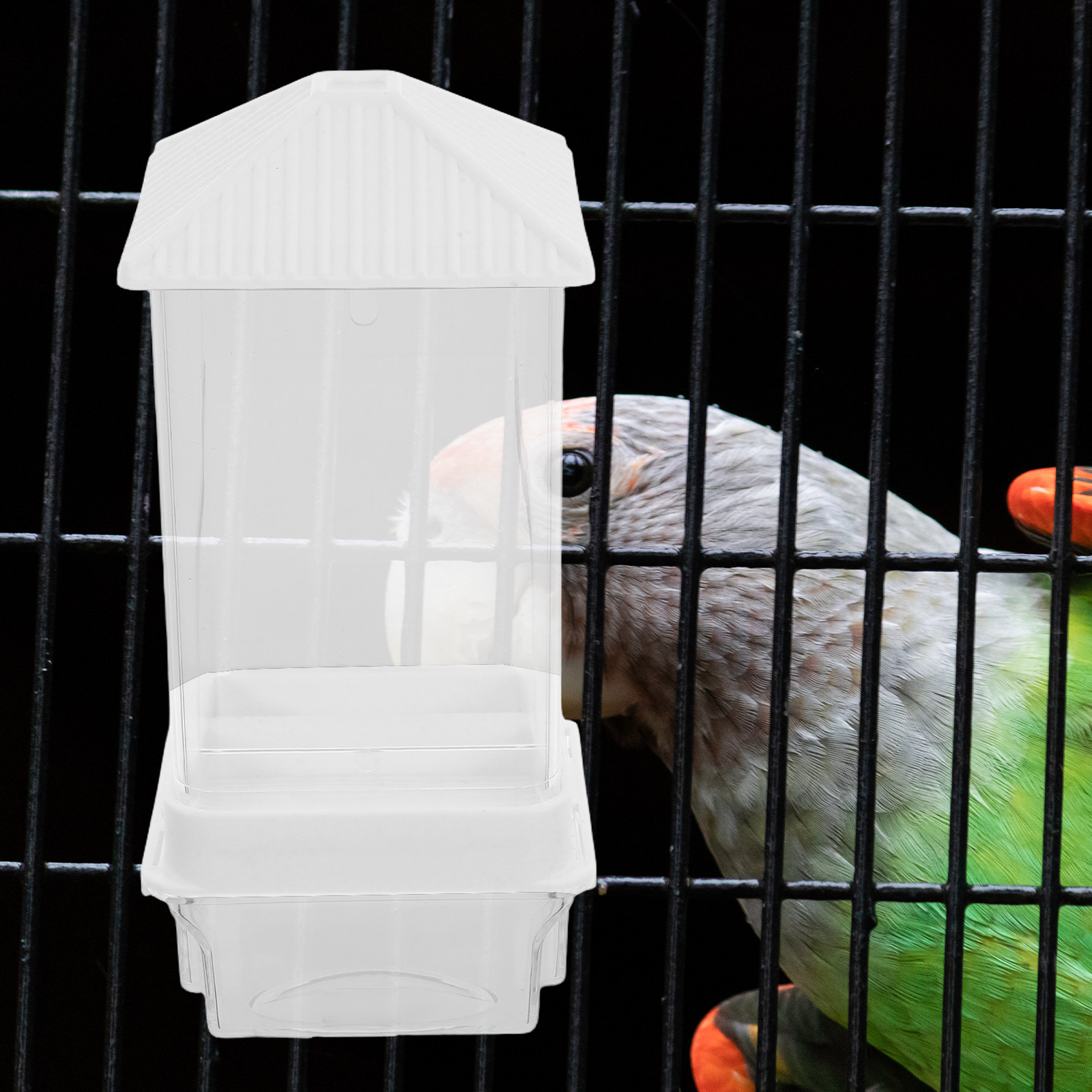 Automatic Bird Feeder No-Spill - Automatic Pet Feeder recension och pris