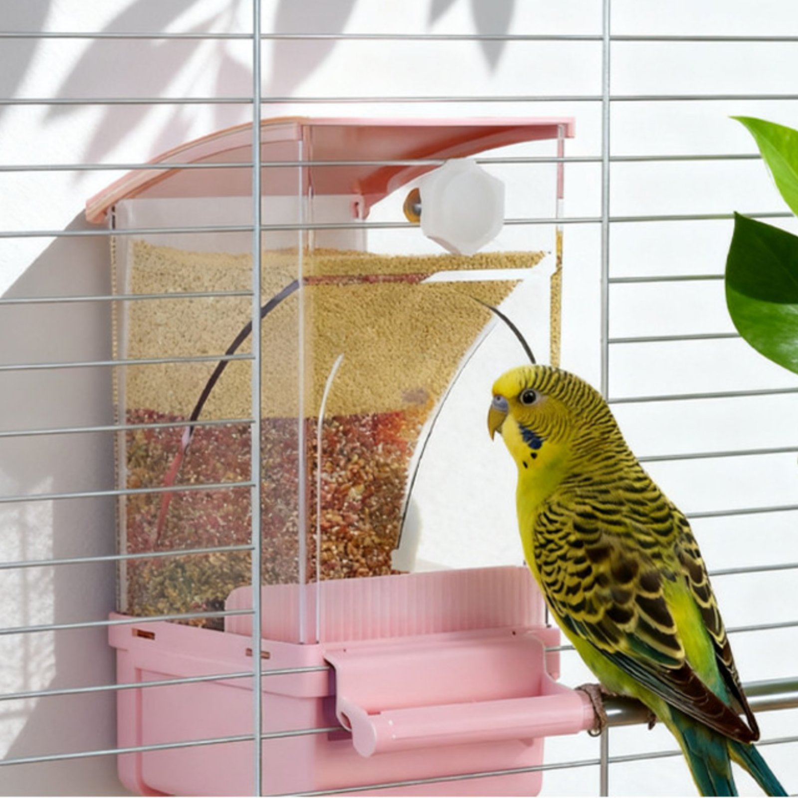 Automatic Avian Feeder Husk Se - Pet Supplies Us recension och pris