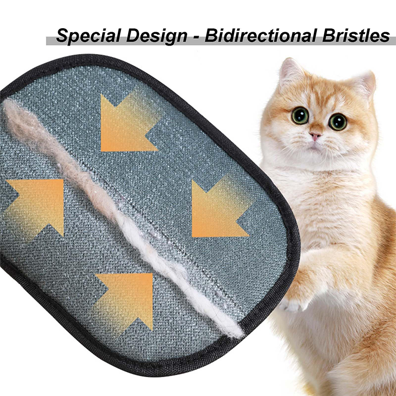 New Electrostatic Pet Grooming - Pet Supplies Nz recension och pris