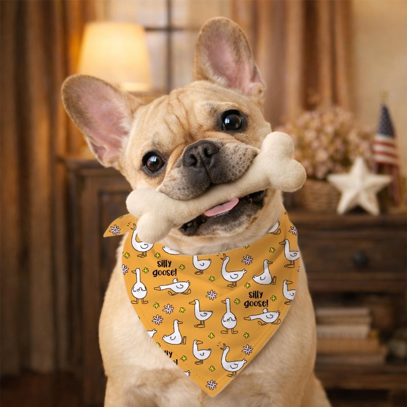 Dog Bandana Featuring a Cute G - Dog Bandana Scarf recension och pris